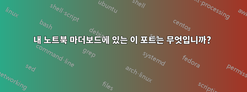 내 노트북 ​​마더보드에 있는 이 포트는 무엇입니까?