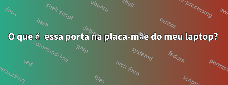 O que é essa porta na placa-mãe do meu laptop?