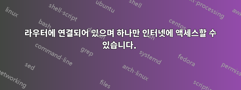 2 라우터에 연결되어 있으며 하나만 인터넷에 액세스할 수 있습니다.