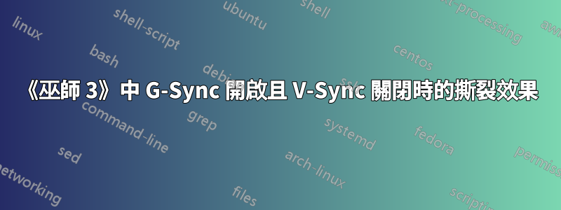 《巫師 3》中 G-Sync 開啟且 V-Sync 關閉時的撕裂效果
