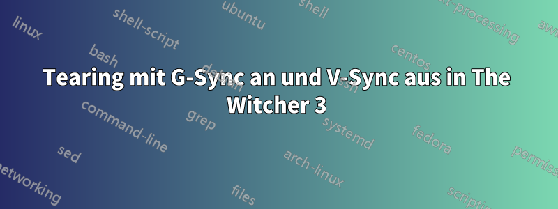 Tearing mit G-Sync an und V-Sync aus in The Witcher 3