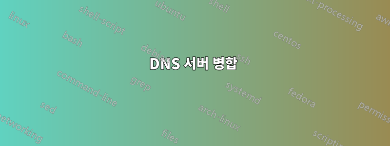 DNS 서버 병합