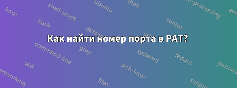 Как найти номер порта в PAT?