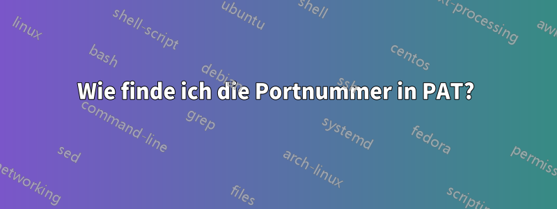 Wie finde ich die Portnummer in PAT?