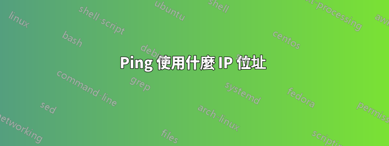 Ping 使用什麼 IP 位址