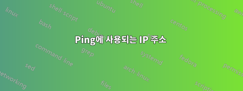 Ping에 사용되는 IP 주소