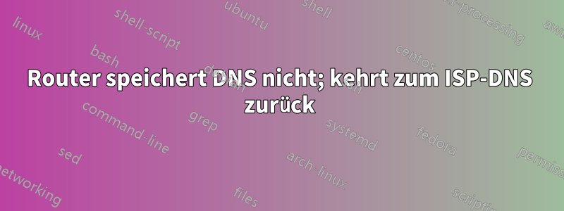 Router speichert DNS nicht; kehrt zum ISP-DNS zurück