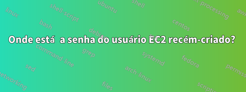 Onde está a senha do usuário EC2 recém-criado?