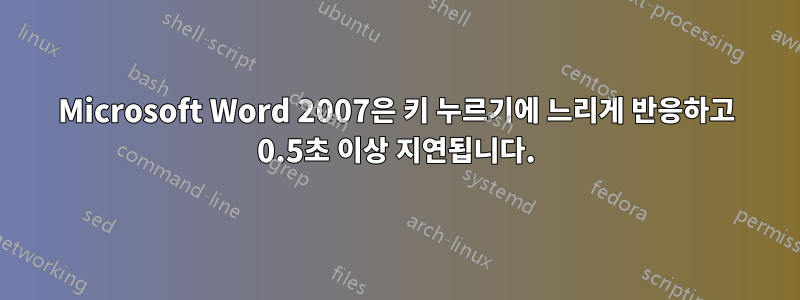 Microsoft Word 2007은 키 누르기에 느리게 반응하고 0.5초 이상 지연됩니다.