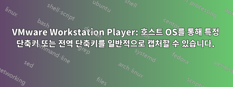 VMware Workstation Player: 호스트 OS를 통해 특정 단축키 또는 전역 단축키를 일반적으로 캡처할 수 있습니다.