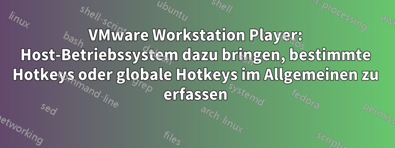 VMware Workstation Player: Host-Betriebssystem dazu bringen, bestimmte Hotkeys oder globale Hotkeys im Allgemeinen zu erfassen