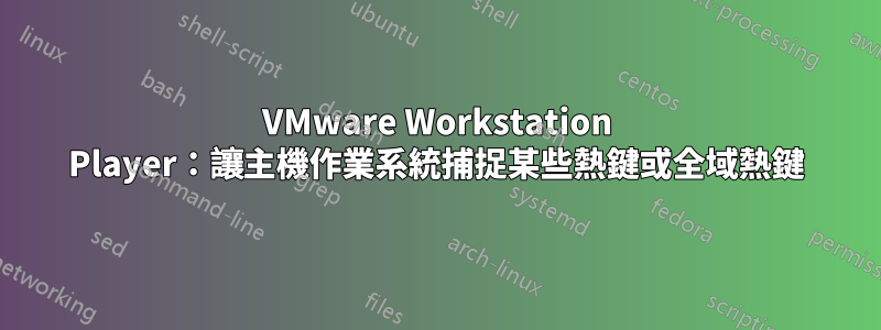 VMware Workstation Player：讓主機作業系統捕捉某些熱鍵或全域熱鍵