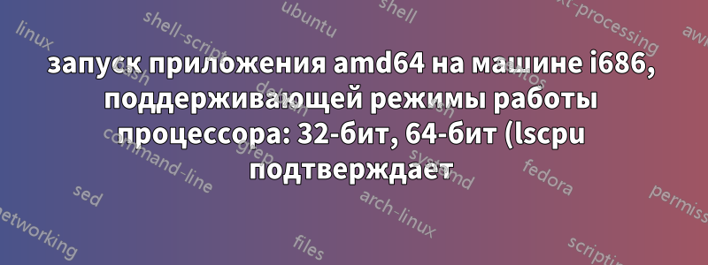 запуск приложения amd64 на машине i686, поддерживающей режимы работы процессора: 32-бит, 64-бит (lscpu подтверждает) с использованием QEMU. Моя ОС Ubuntu 16.04