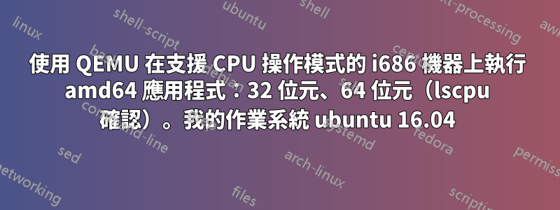 使用 QEMU 在支援 CPU 操作模式的 i686 機器上執行 amd64 應用程式：32 位元、64 位元（lscpu 確認）。我的作業系統 ubuntu 16.04