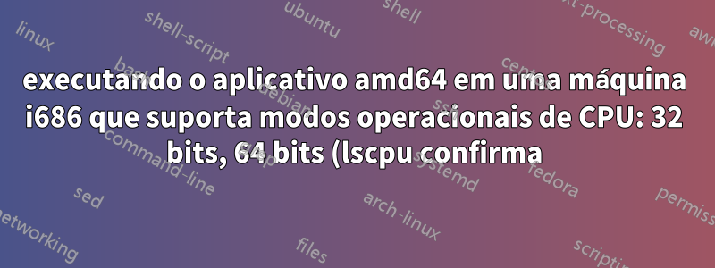 executando o aplicativo amd64 em uma máquina i686 que suporta modos operacionais de CPU: 32 bits, 64 bits (lscpu confirma) usando QEMU. Meu sistema operacional Ubuntu 16.04