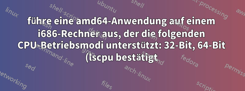 führe eine amd64-Anwendung auf einem i686-Rechner aus, der die folgenden CPU-Betriebsmodi unterstützt: 32-Bit, 64-Bit (lscpu bestätigt) unter Verwendung von QEMU. Mein Betriebssystem ist Ubuntu 16.04