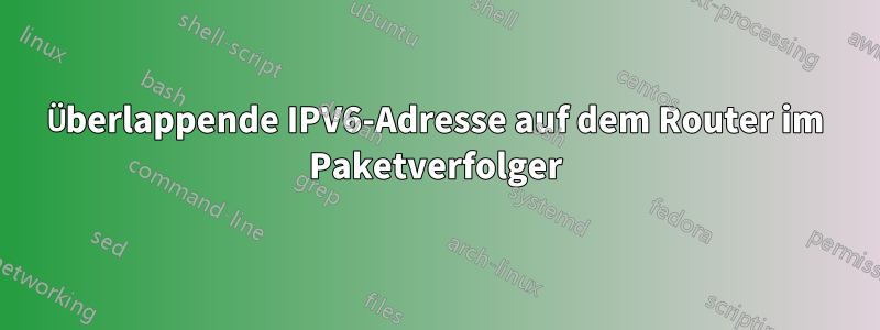 Überlappende IPV6-Adresse auf dem Router im Paketverfolger