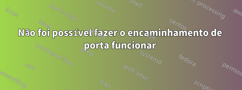 Não foi possível fazer o encaminhamento de porta funcionar