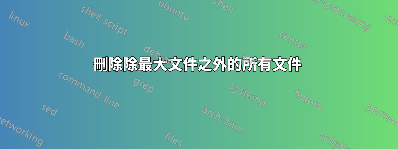 刪除除最大文件之外的所有文件