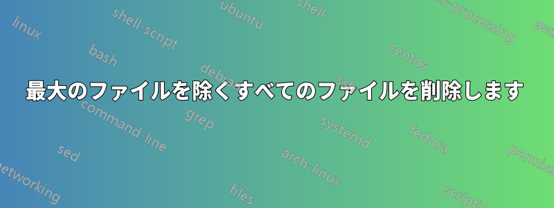 最大のファイルを除くすべてのファイルを削除します