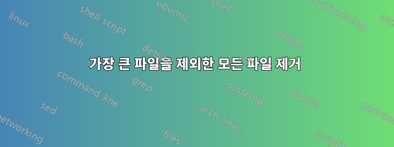 가장 큰 파일을 제외한 모든 파일 제거