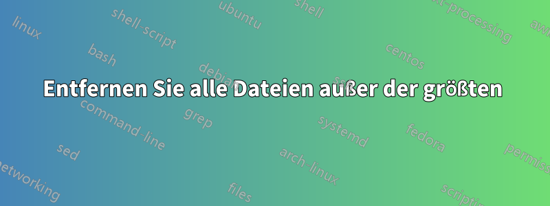 Entfernen Sie alle Dateien außer der größten