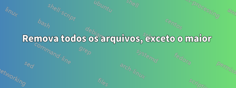 Remova todos os arquivos, exceto o maior