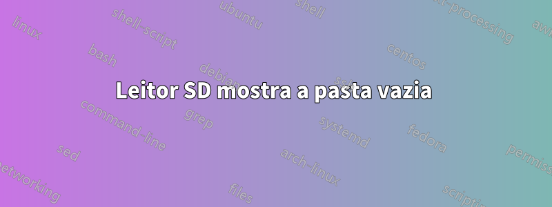 Leitor SD mostra a pasta vazia