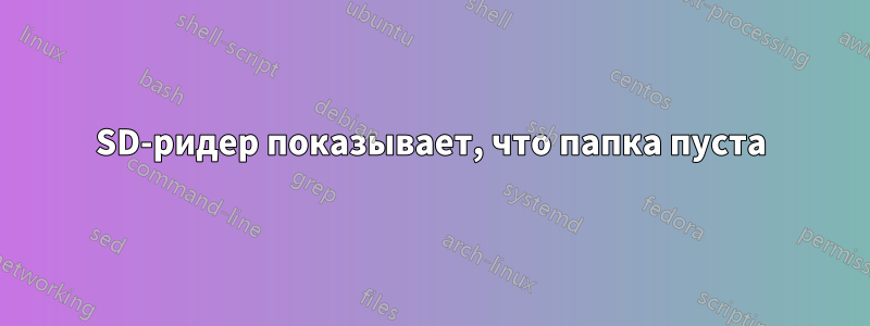 SD-ридер показывает, что папка пуста