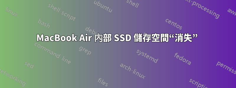 MacBook Air 內部 SSD 儲存空間“消失”