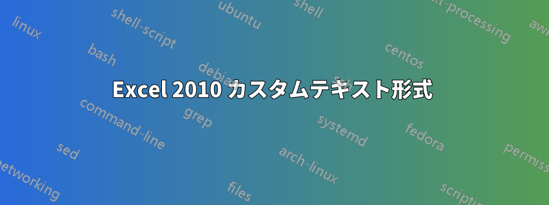 Excel 2010 カスタムテキスト形式