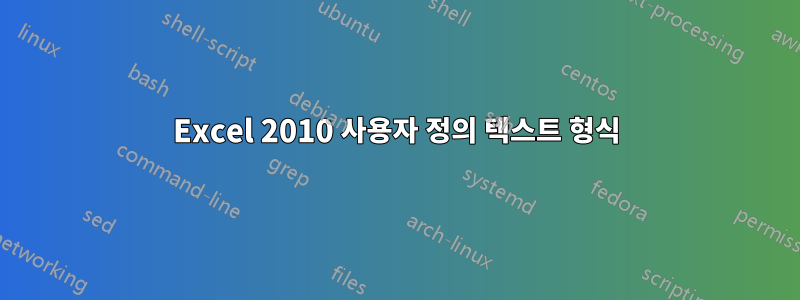 Excel 2010 사용자 정의 텍스트 형식