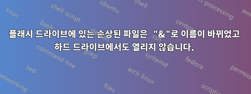 플래시 드라이브에 있는 손상된 파일은 "&"로 이름이 바뀌었고 하드 드라이브에서도 열리지 않습니다.