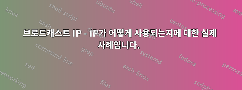 브로드캐스트 IP - IP가 어떻게 사용되는지에 대한 실제 사례입니다. 