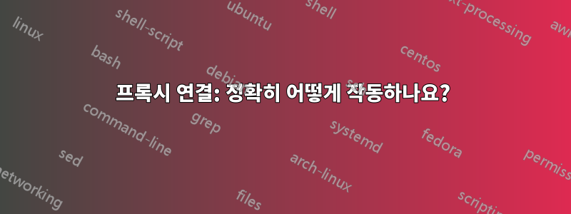 프록시 연결: 정확히 어떻게 작동하나요?