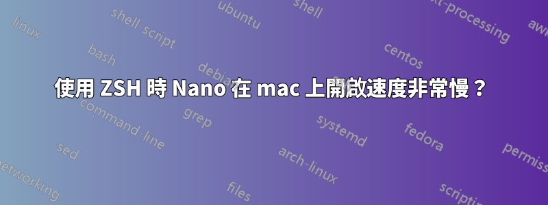 使用 ZSH 時 Nano 在 mac 上開啟速度非常慢？