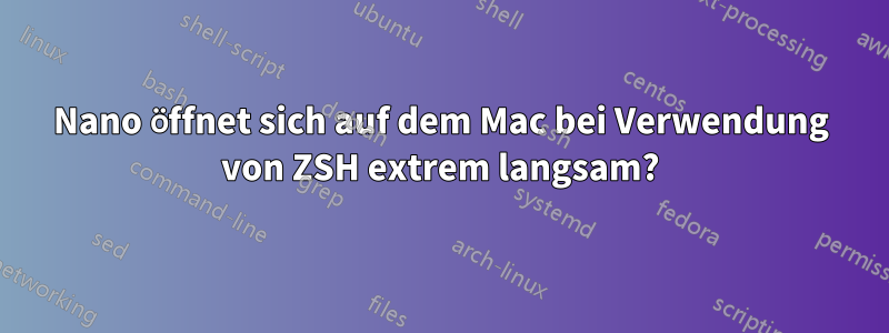 Nano öffnet sich auf dem Mac bei Verwendung von ZSH extrem langsam?