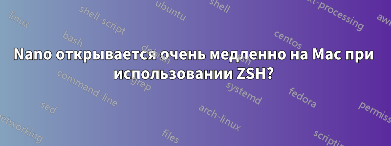 Nano открывается очень медленно на Mac при использовании ZSH?