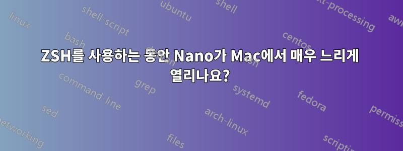 ZSH를 사용하는 동안 Nano가 Mac에서 매우 느리게 열리나요?