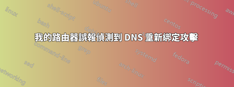 我的路由器誤報偵測到 DNS 重新綁定攻擊