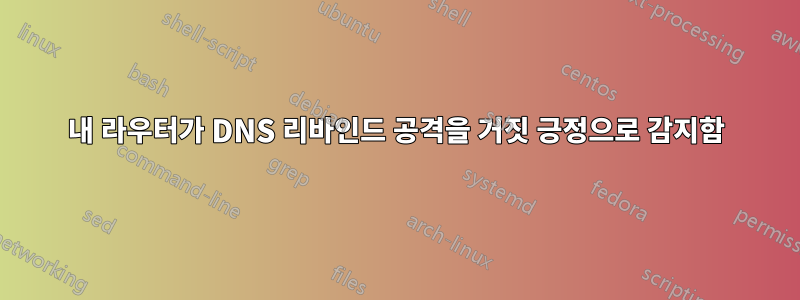 내 라우터가 DNS 리바인드 공격을 거짓 긍정으로 감지함