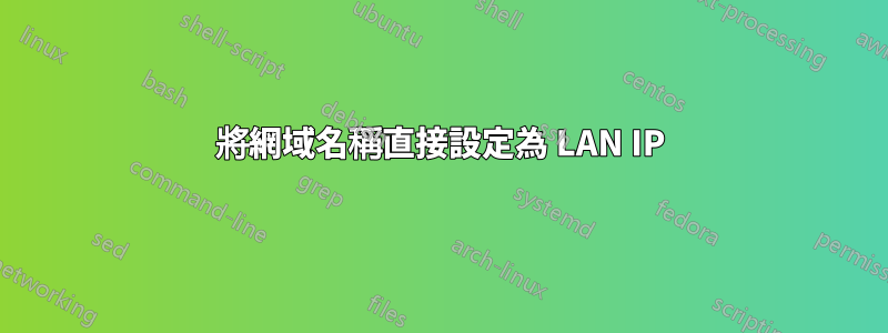 將網域名稱直接設定為 LAN IP