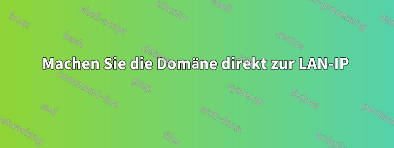 Machen Sie die Domäne direkt zur LAN-IP