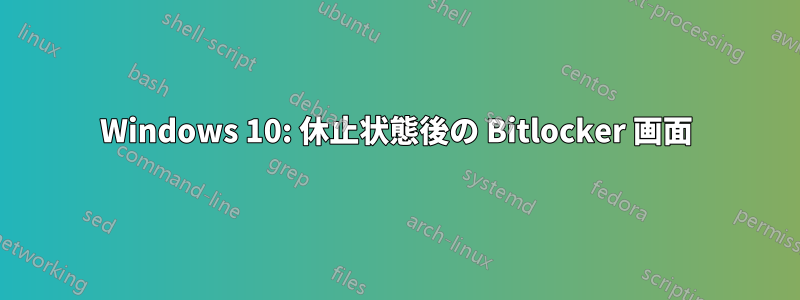 Windows 10: 休止状態後の Bitlocker 画面
