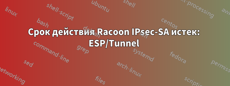 Срок действия Racoon IPsec-SA истек: ESP/Tunnel