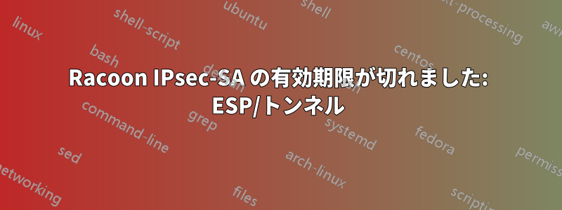 Racoon IPsec-SA の有効期限が切れました: ESP/トンネル
