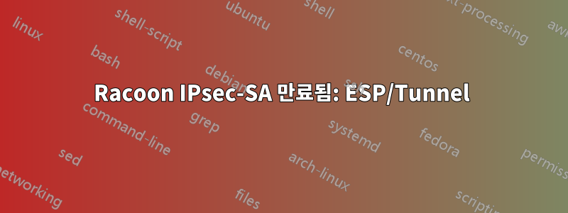 Racoon IPsec-SA 만료됨: ESP/Tunnel