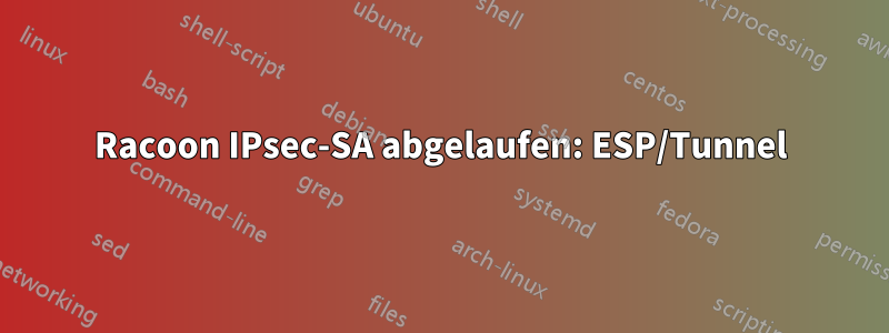 Racoon IPsec-SA abgelaufen: ESP/Tunnel