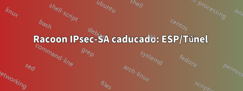Racoon IPsec-SA caducado: ESP/Túnel
