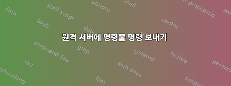 원격 서버에 명령줄 명령 보내기